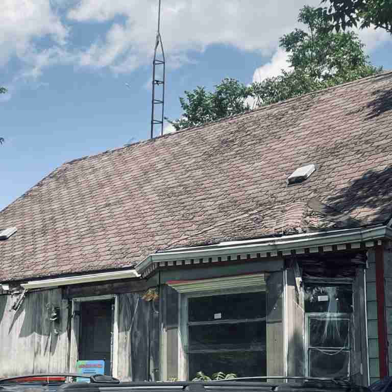 20506 Cardoni (12).jpg